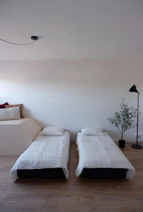 E Centre Ville Professeur Langevin Spacieux Cosy Épernay Dış mekan fotoğraf